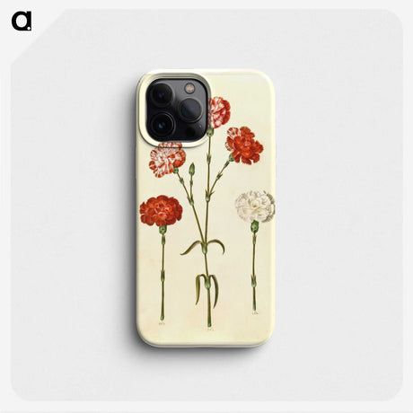 2-81_Maria-Sibylla-Merian_phone