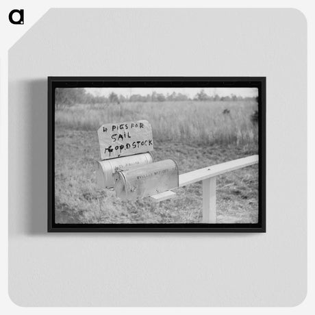 2-81_Marion-Post-Wolcott_blk-crop
