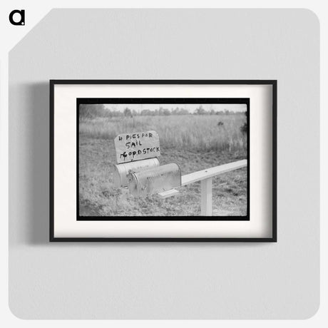 2-81_Marion-Post-Wolcott_blk