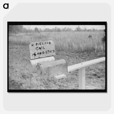 2-81_Marion-Post-Wolcott_picture-crop