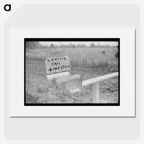2-81_Marion-Post-Wolcott_picture