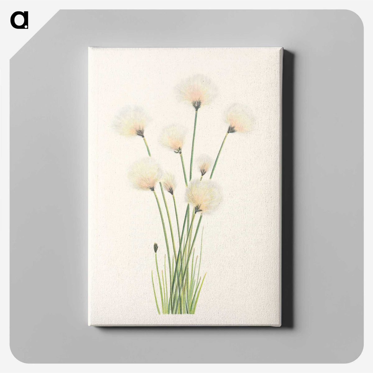 2-81_Mary-Vaux-Walcott_canvas