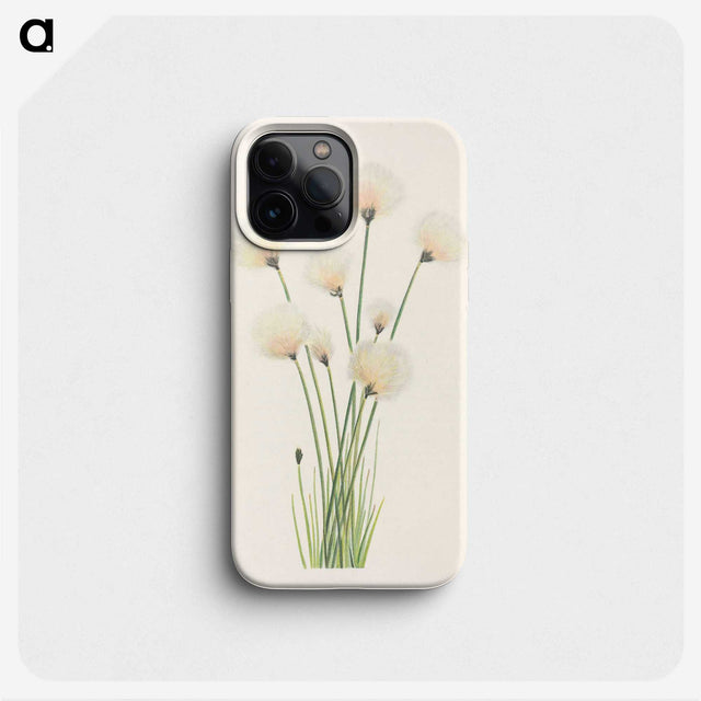 2-81_Mary-Vaux-Walcott_phone