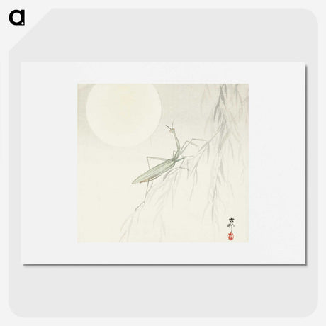 2-81_Ohara-Koson_picture
