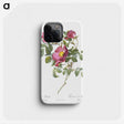 2-81_Pierre-Joseph-Redoute_phone