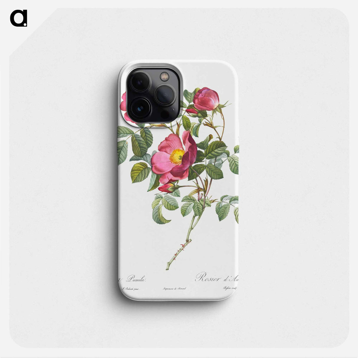 Rose of Love - ピエール ジョゼフ ルドゥーテ Phone Case.