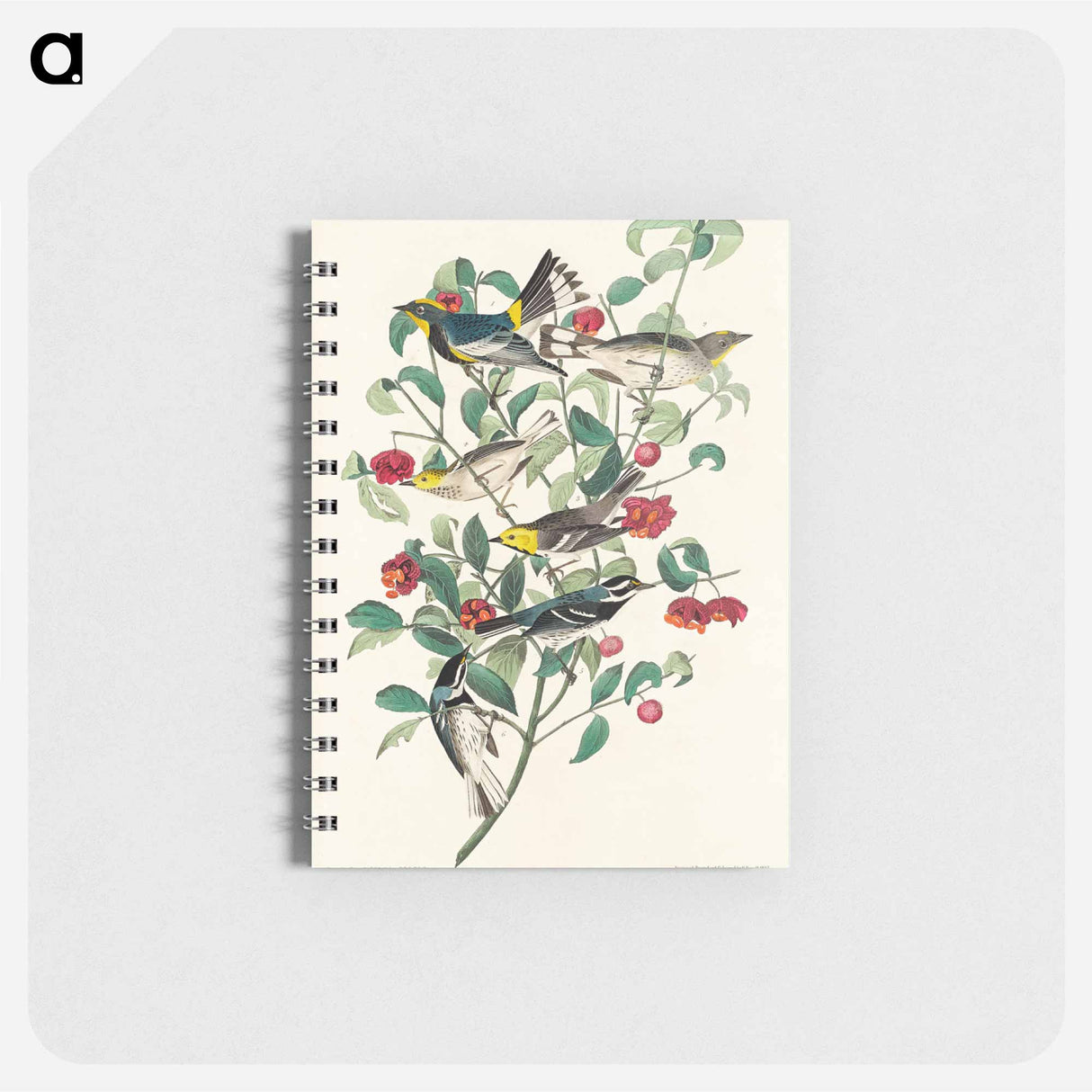 アートメモ帳-Audubon's Warbler, Hermit Warbler and Black-throated gray Warbler from Birds of America
 - アメリカの鳥たち Memo.