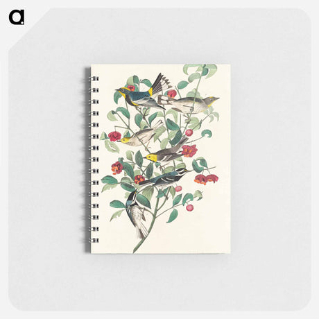 アートメモ帳-Audubon's Warbler, Hermit Warbler and Black-throated gray Warbler from Birds of America
 - アメリカの鳥たち Memo.