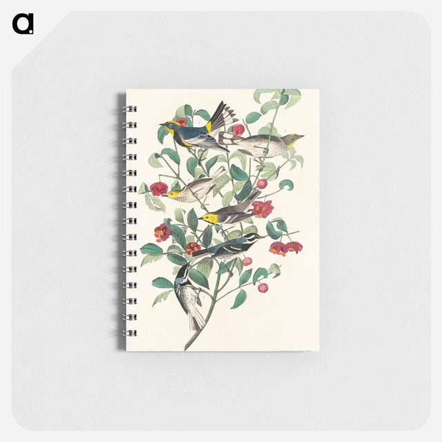 アートメモ帳-Audubon's Warbler, Hermit Warbler and Black-throated gray Warbler from Birds of America
 - アメリカの鳥たち Memo.