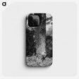 2-81_The-Burton-Brothers_phone