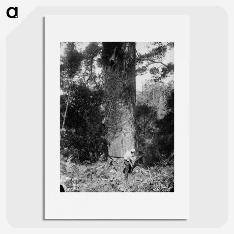 2-81_The-Burton-Brothers_picture