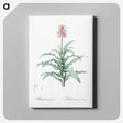 2-81_The-Lilies_canvas