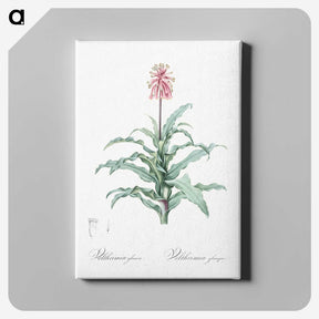 2-81_The-Lilies_canvas