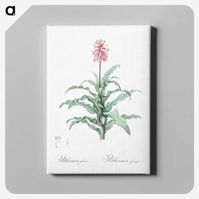 2-81_The-Lilies_canvas