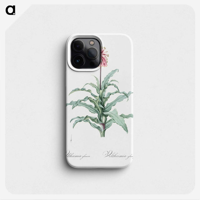2-81_The-Lilies_phone