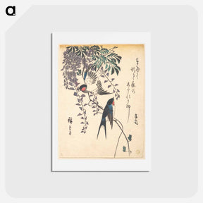 アートポストカード-Swallow and Wisteria
 - 歌川 広重 Postcard.