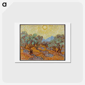アートポストカード-Olive Trees - フィンセント ファン ゴッホ Postcard.