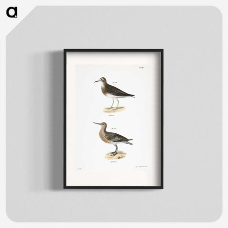 2-81_Zoology-of-New-York_blk