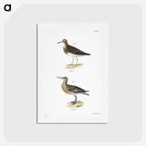 2-81_Zoology-of-New-York_hagaki