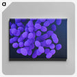 2-82_COVID-19_canvas