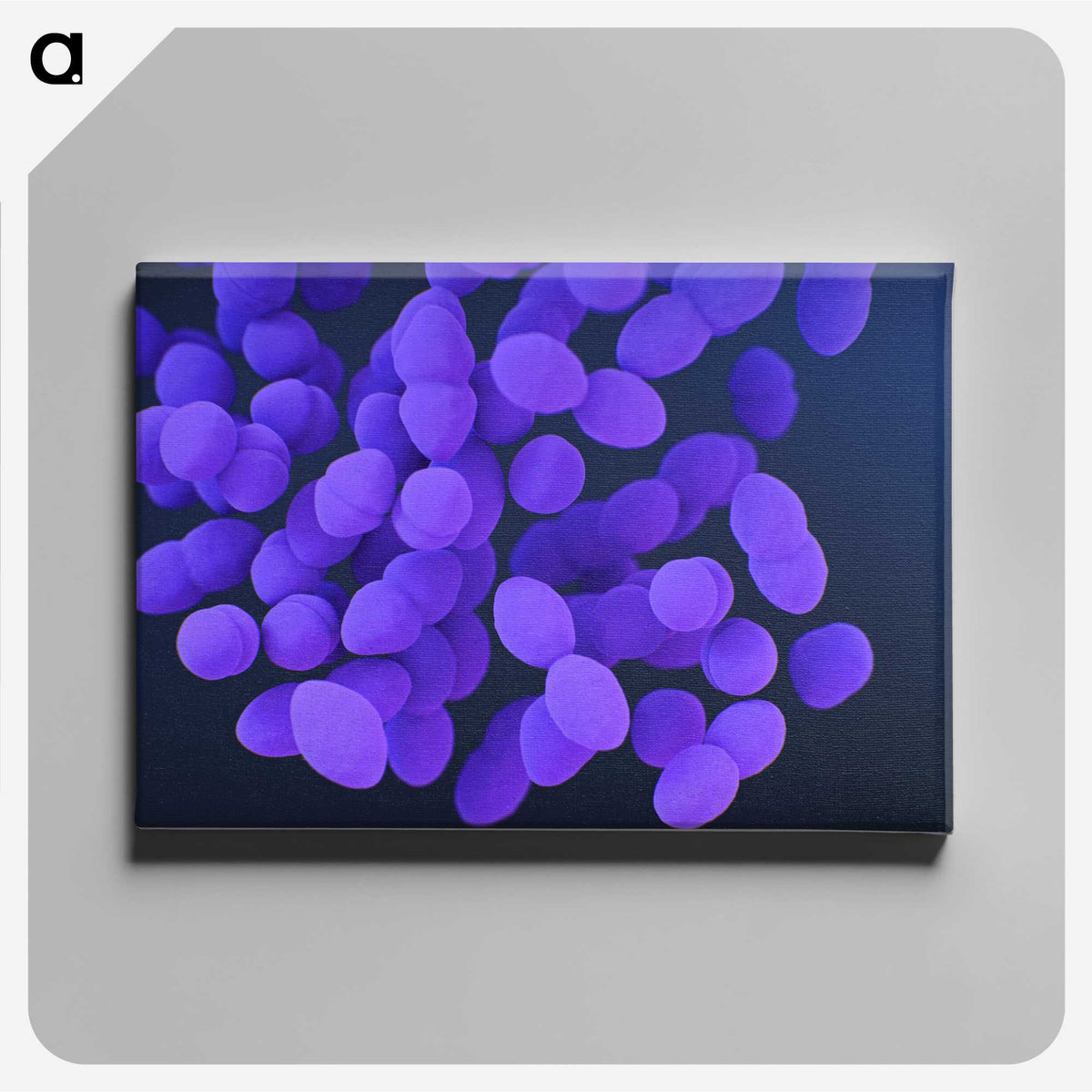 2-82_COVID-19_canvas