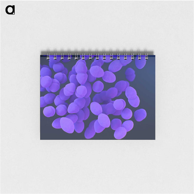 2-82_COVID-19_memo