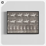 2-82_Eadweard-Muybridge_blk-crop