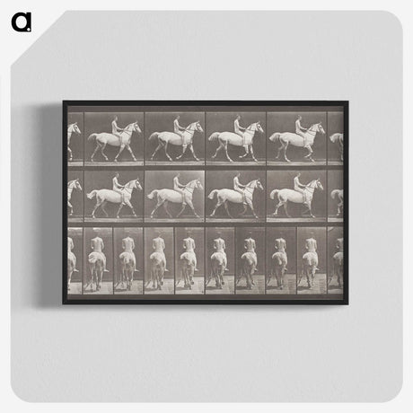 2-82_Eadweard-Muybridge_blk-crop