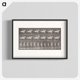 2-82_Eadweard-Muybridge_blk