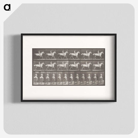 2-82_Eadweard-Muybridge_blk