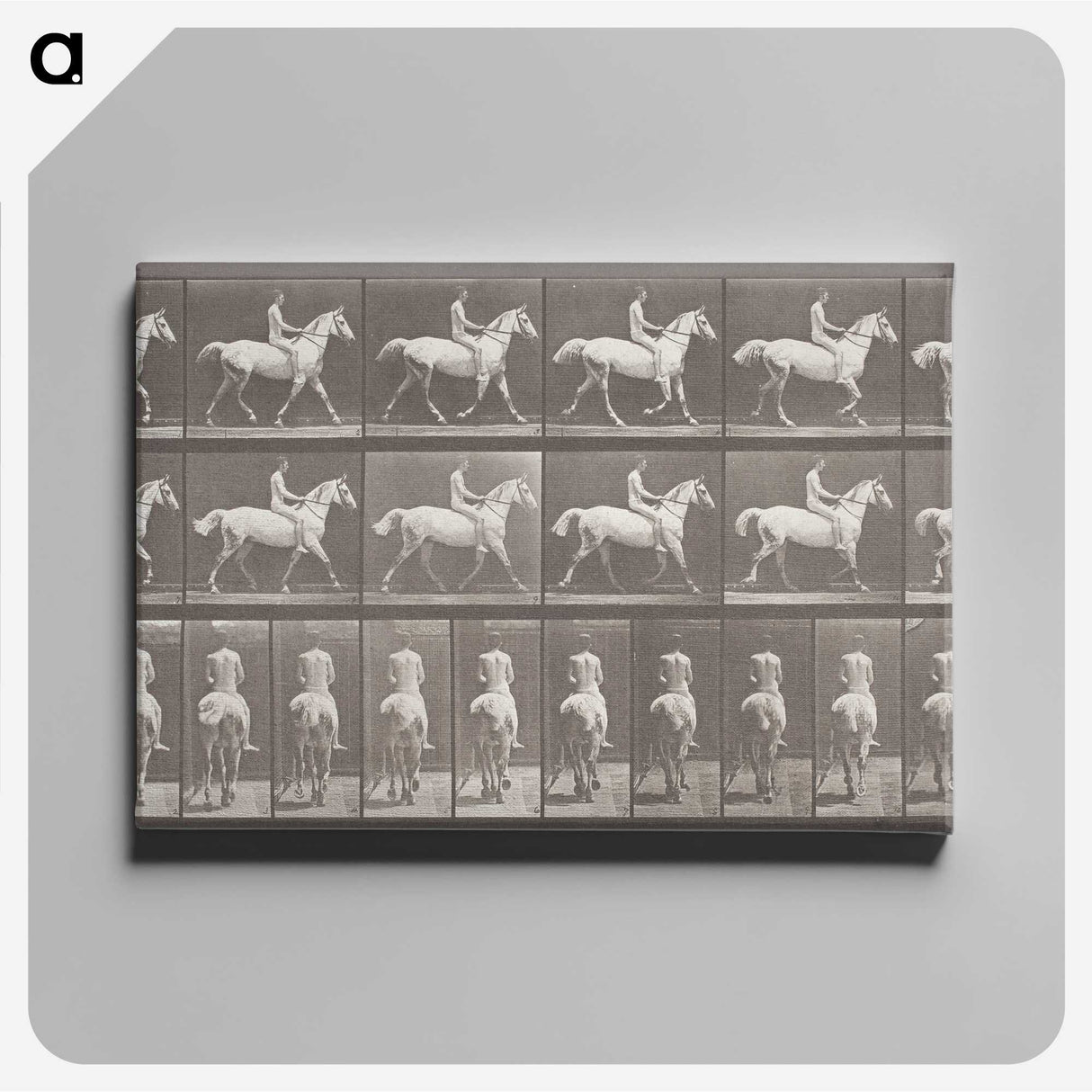 2-82_Eadweard-Muybridge_canvas