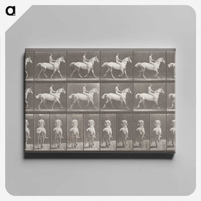 2-82_Eadweard-Muybridge_canvas