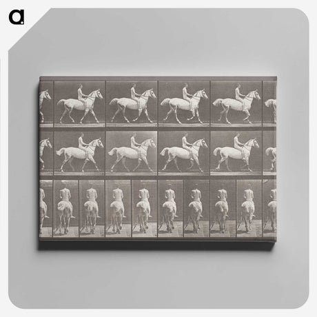 2-82_Eadweard-Muybridge_canvas