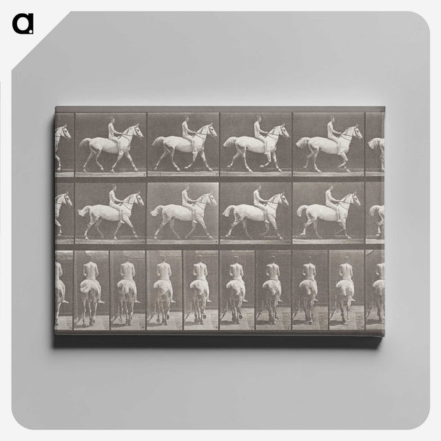 2-82_Eadweard-Muybridge_canvas