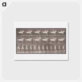 アートポストカード-Smith Trotting Bareback
 - エドワード マイブリッジ Postcard.