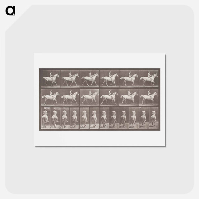 アートポストカード-Smith Trotting Bareback
 - エドワード マイブリッジ Postcard.