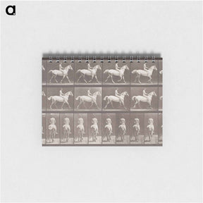 アートメモ帳-Smith Trotting Bareback
 - エドワード マイブリッジ Memo.