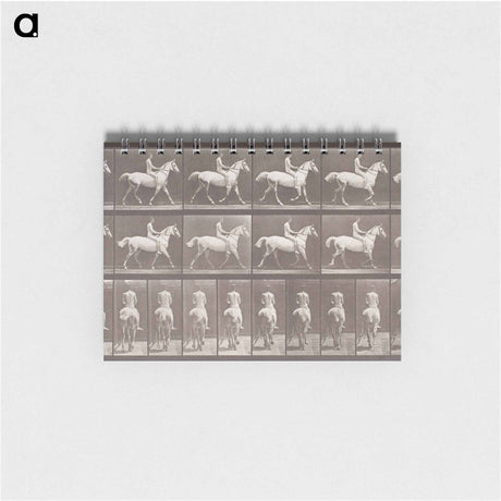 アートメモ帳-Smith Trotting Bareback
 - エドワード マイブリッジ Memo.