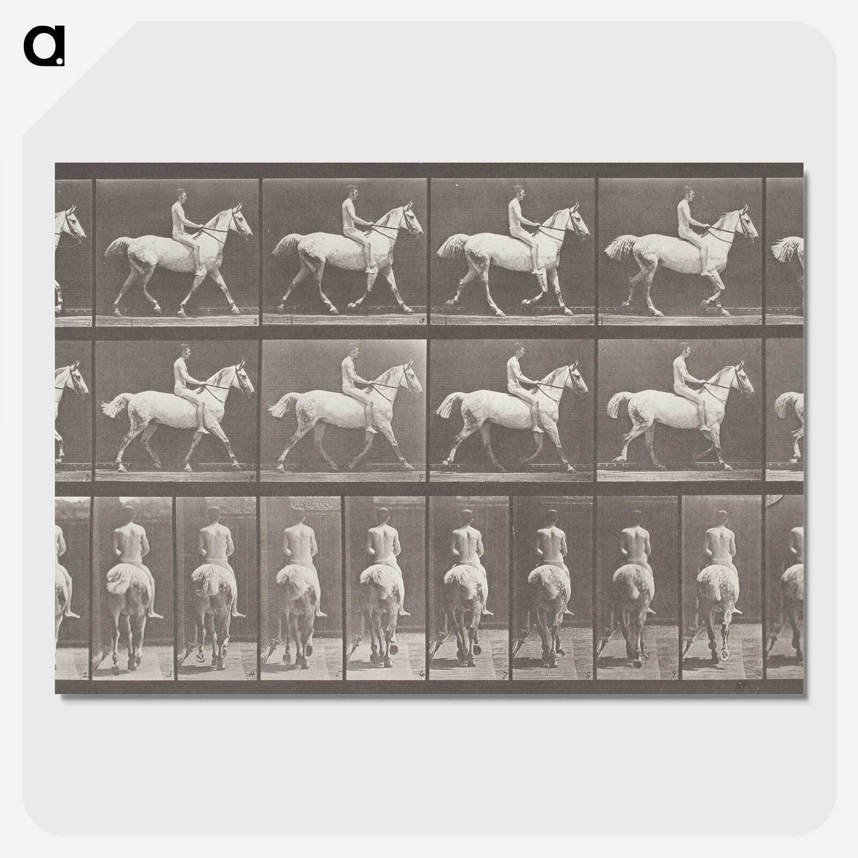 2-82_Eadweard-Muybridge_picture-crop
