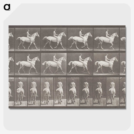 2-82_Eadweard-Muybridge_picture-crop