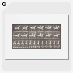 2-82_Eadweard-Muybridge_picture