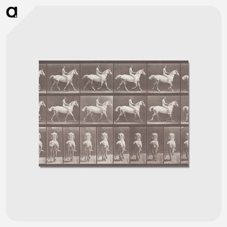 アートポストカード-Smith Trotting Bareback
 - エドワード マイブリッジ Postcard.