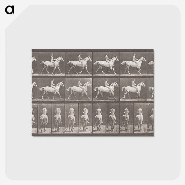 2-82_Eadweard-Muybridge_postcard