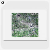 2-82_Earth-from-Above_picture