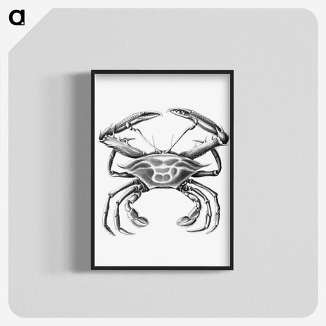 2-82_Ernst-Haeckel_blk-crop