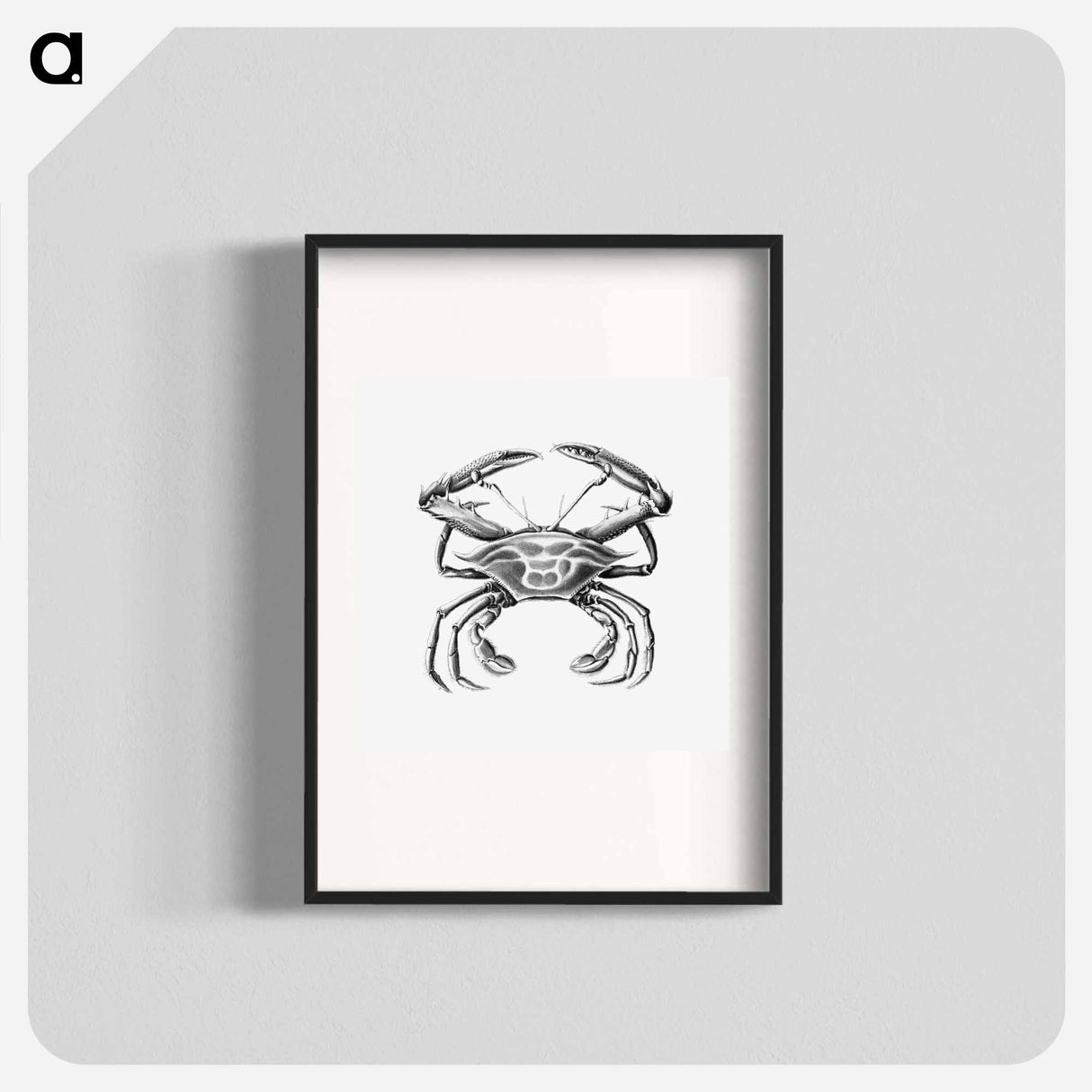 Vintage crab marine life illustration - エルンスト ヘッケル Poster.