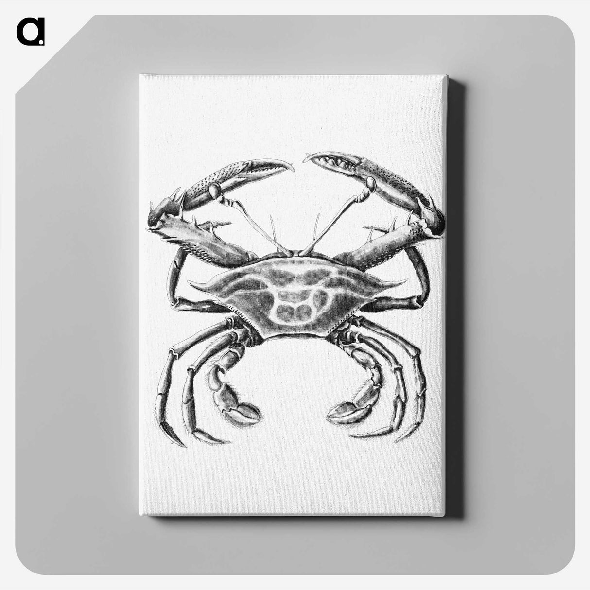 2-82_Ernst-Haeckel_canvas