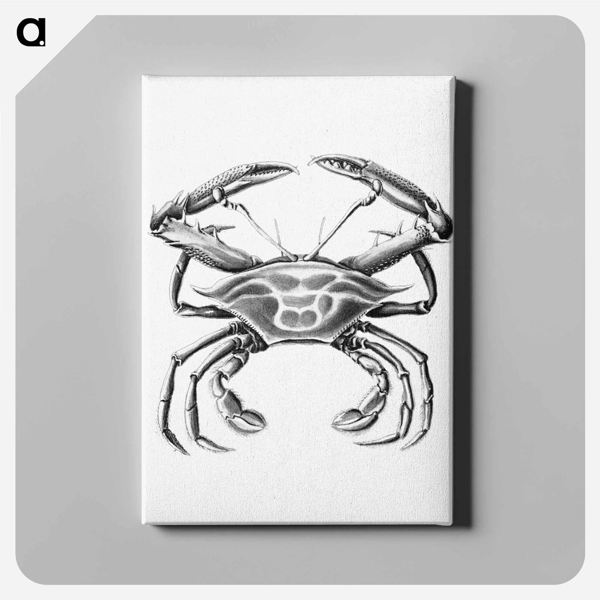 Vintage crab marine life illustration - エルンスト ヘッケル Canvas.
