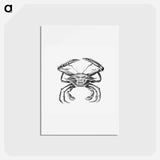 アートポストカード-Vintage crab marine life illustration - エルンスト ヘッケル Postcard.