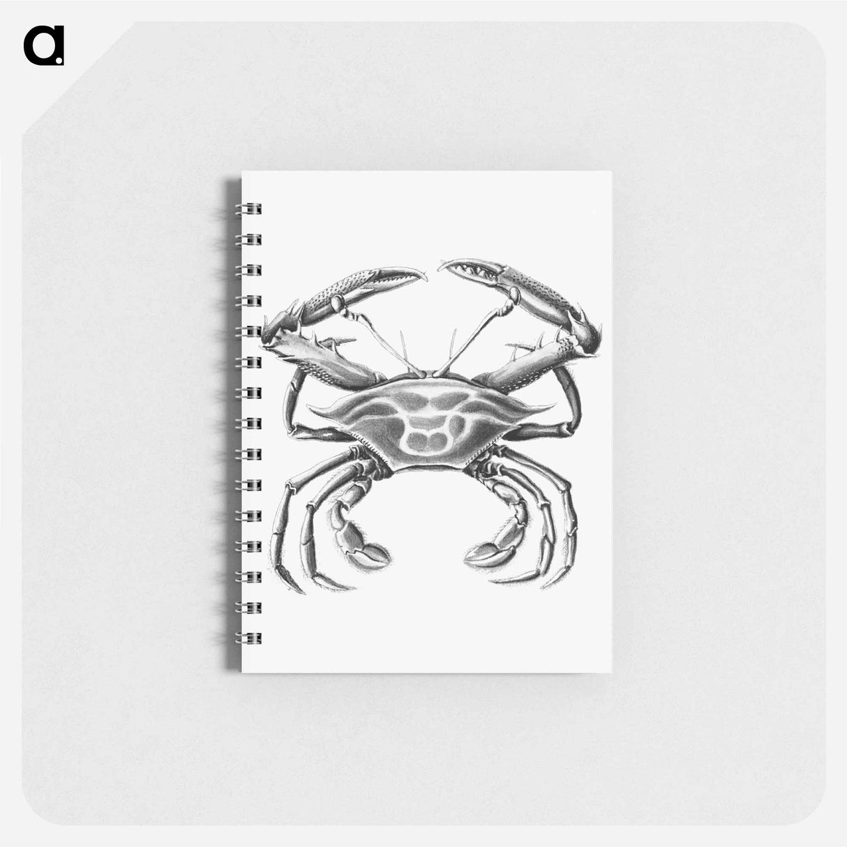 アートメモ帳-Vintage crab marine life illustration - エルンスト ヘッケル Memo.